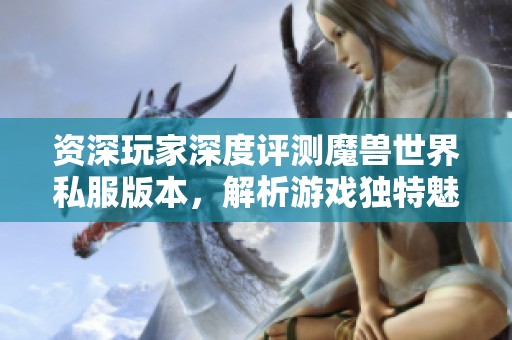 资深玩家深度评测魔兽世界私服版本，解析游戏独特魅力与亮点