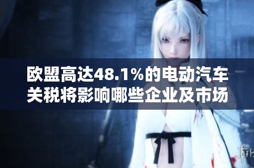 欧盟高达48.1%的电动汽车关税将影响哪些企业及市场