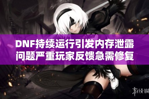 DNF持续运行引发内存泄露问题严重玩家反馈急需修复
