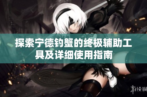 探索宁德钓蟹的终极辅助工具及详细使用指南