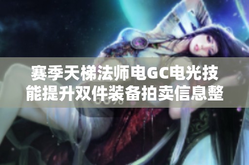 赛季天梯法师电GC电光技能提升双件装备拍卖信息整理
