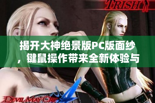 揭开大神绝景版PC版面纱，键鼠操作带来全新体验与稳定帧数