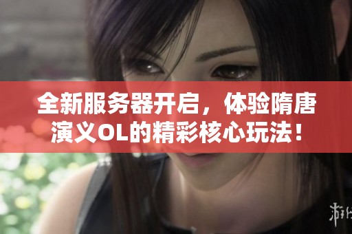 全新服务器开启，体验隋唐演义OL的精彩核心玩法！