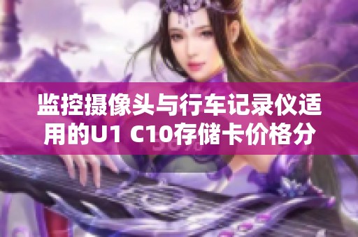 监控摄像头与行车记录仪适用的U1 C10存储卡价格分析