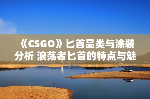 《CSGO》匕首品类与涂装分析 浪荡者匕首的特点与魅力