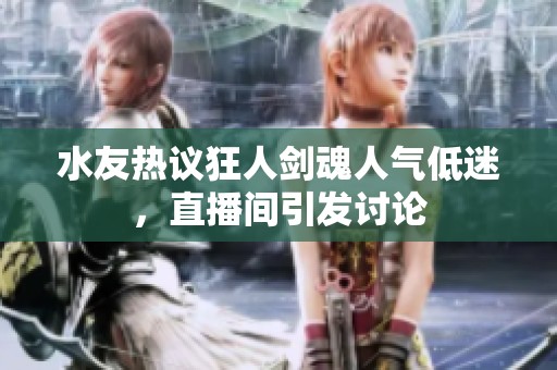 水友热议狂人剑魂人气低迷，直播间引发讨论