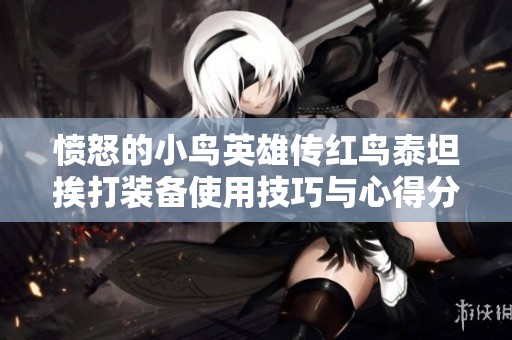 愤怒的小鸟英雄传红鸟泰坦挨打装备使用技巧与心得分享