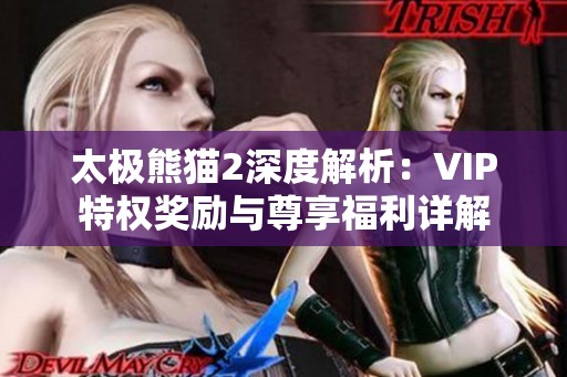 太极熊猫2深度解析：VIP特权奖励与尊享福利详解