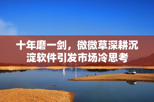 十年磨一剑，微微草深耕沉淀软件引发市场冷思考