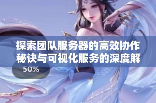 探索团队服务器的高效协作秘诀与可视化服务的深度解析