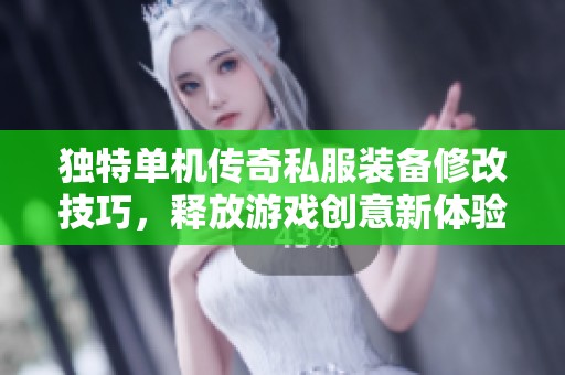 独特单机传奇私服装备修改技巧，释放游戏创意新体验