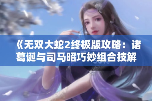 《无双大蛇2终极版攻略：诸葛诞与司马昭巧妙组合技解析》