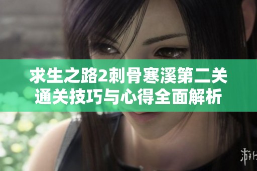 求生之路2刺骨寒溪第二关通关技巧与心得全面解析