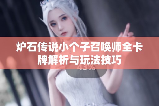 炉石传说小个子召唤师全卡牌解析与玩法技巧