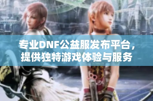 专业DNF公益服发布平台，提供独特游戏体验与服务
