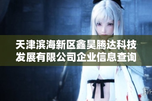 天津滨海新区鑫昊腾达科技发展有限公司企业信息查询分析