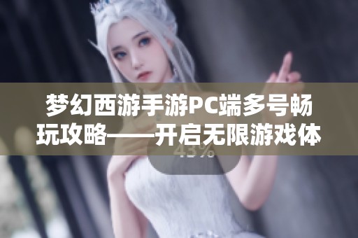 梦幻西游手游PC端多号畅玩攻略——开启无限游戏体验之旅