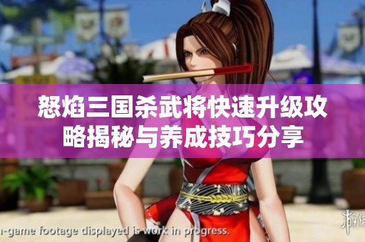 怒焰三国杀武将快速升级攻略揭秘与养成技巧分享