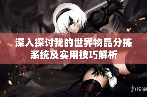 深入探讨我的世界物品分拣系统及实用技巧解析